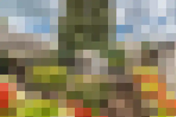 De Savornin Lohmanlaan 51 Huizen thumbnail 44