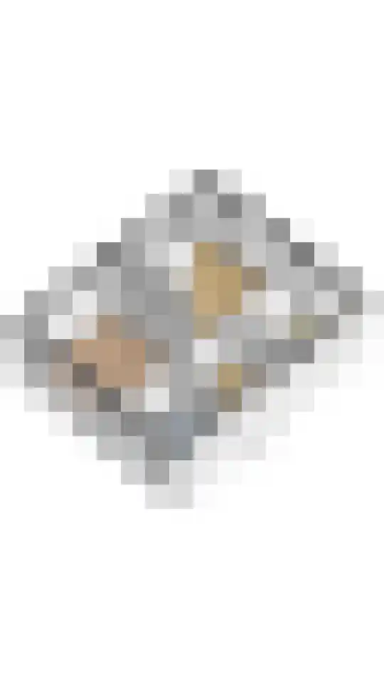 De Savornin Lohmanlaan 51 Huizen thumbnail 55