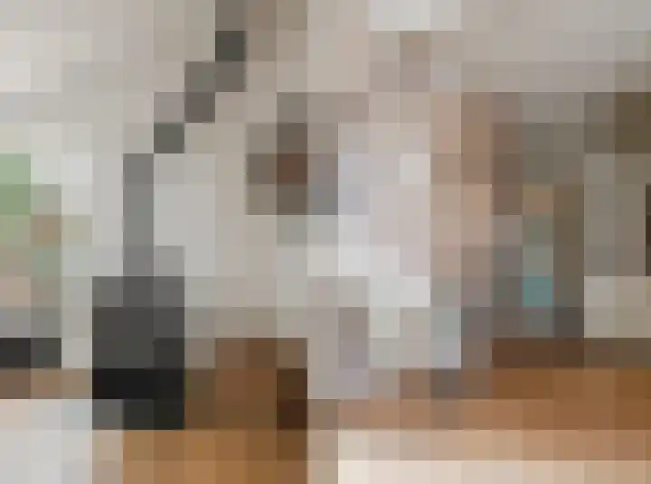De Savornin Lohmanlaan 51 Huizen thumbnail 6