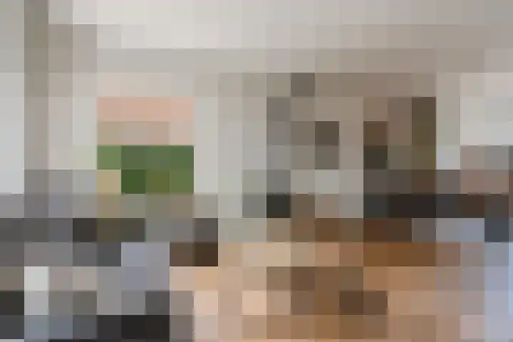 De Savornin Lohmanlaan 51 Huizen thumbnail 7