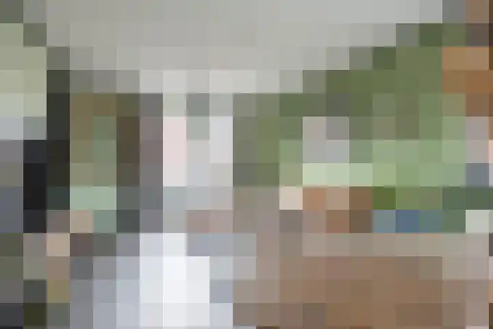 de Savornin Lohmanlaan 52 Oude Pekela thumbnail 25