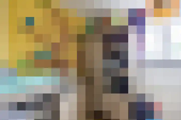 de Savornin Lohmanlaan 52 Oude Pekela thumbnail 41