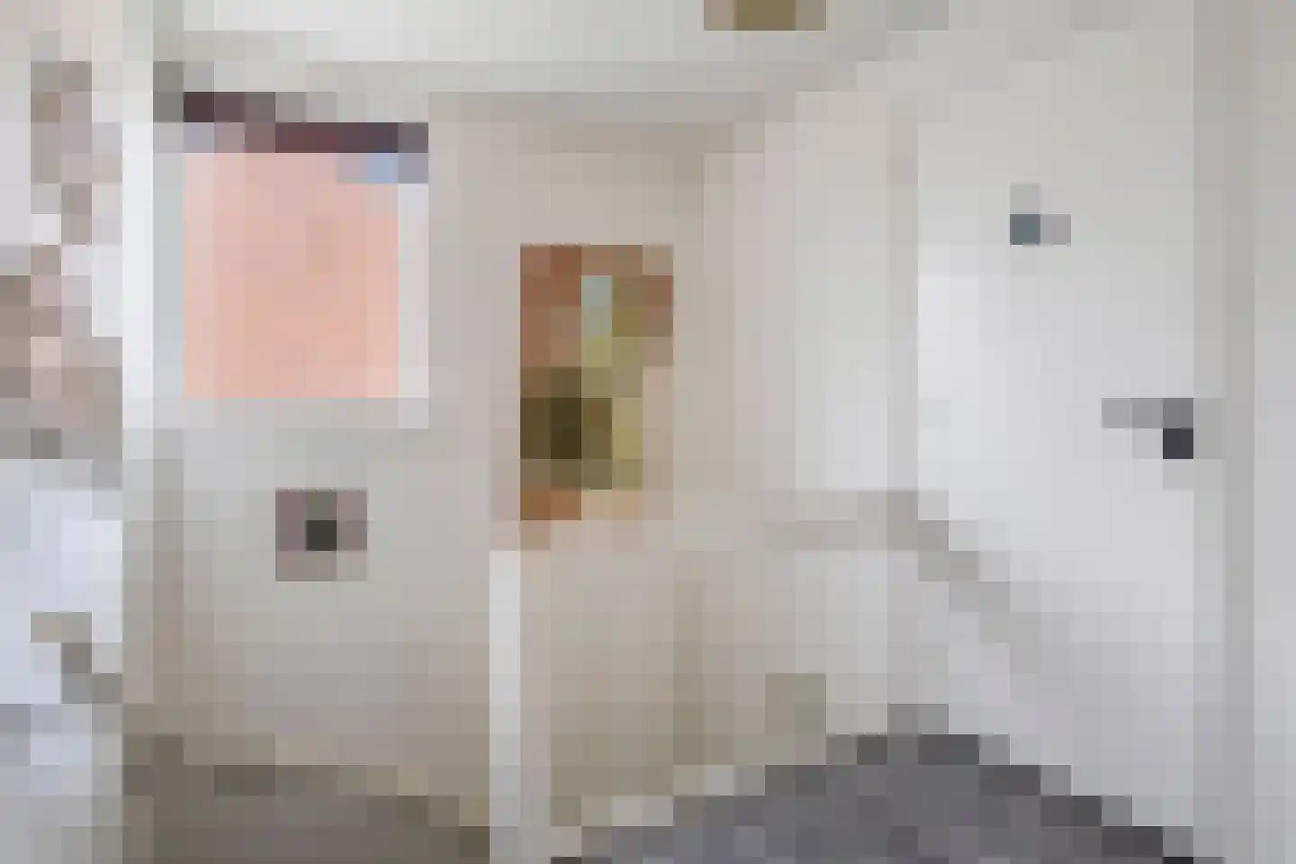 de Savornin Lohmanlaan 55 Oude Pekela thumbnail 18