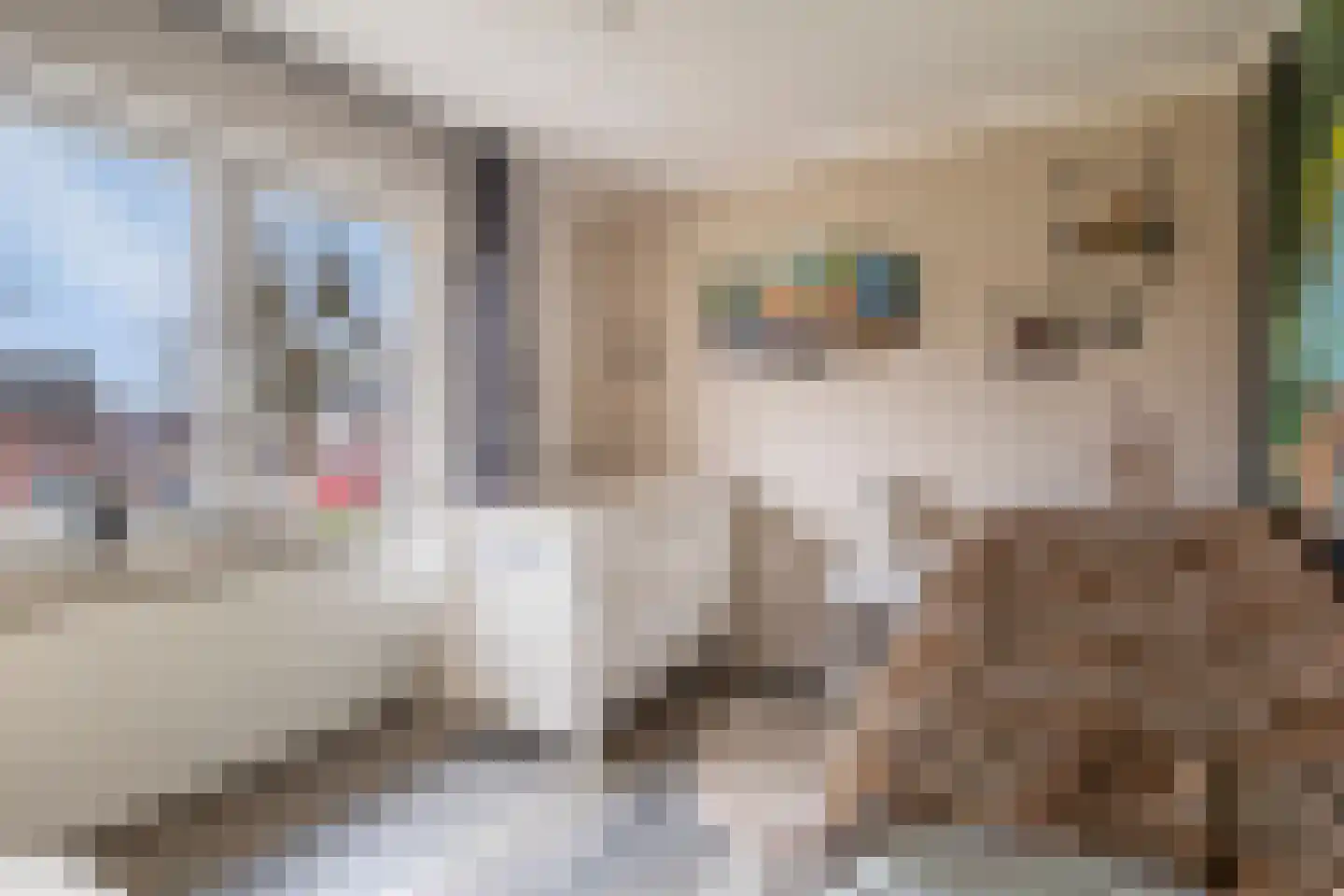 de Savornin Lohmanlaan 55 Oude Pekela thumbnail 23