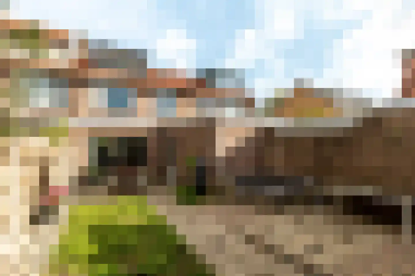 De Savornin Lohmanlaan 6 Harderwijk thumbnail 39