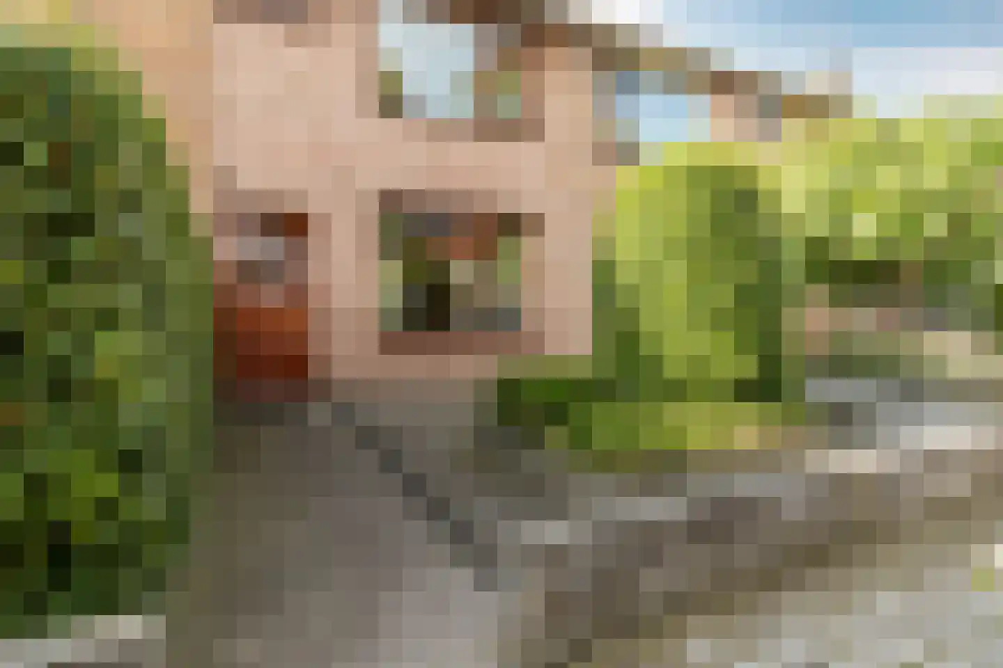 De Savornin Lohmanlaan 6 Harderwijk thumbnail 42