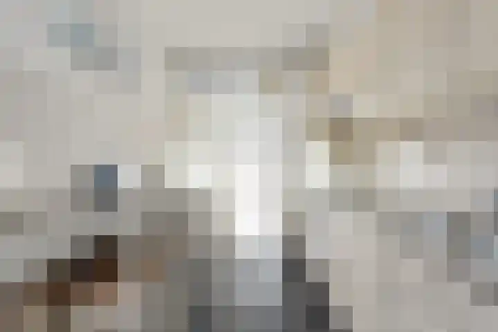 De Savornin Lohmanlaan 6 Hillegom thumbnail 11