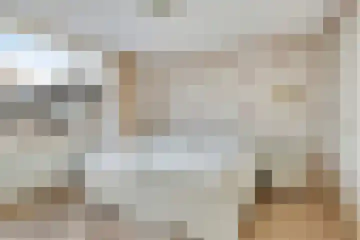 De Savornin Lohmanlaan 6 Hillegom thumbnail 13