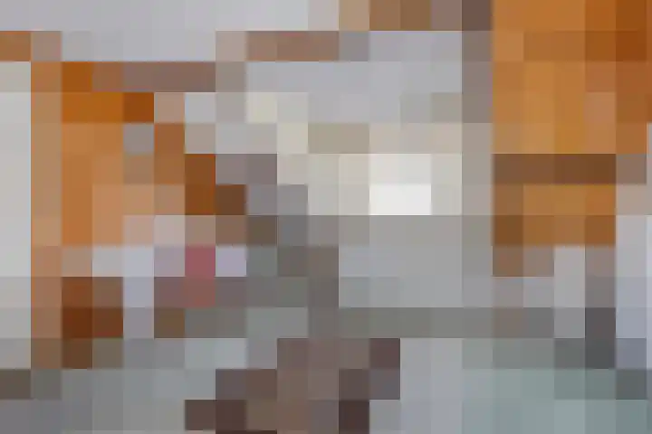 De Savornin Lohmanlaan 6 Hillegom thumbnail 20