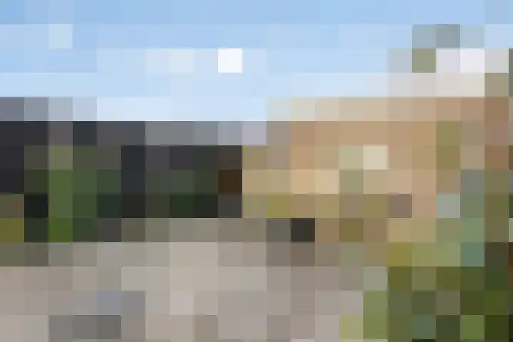 De Savornin Lohmanlaan 6 Hillegom thumbnail 23