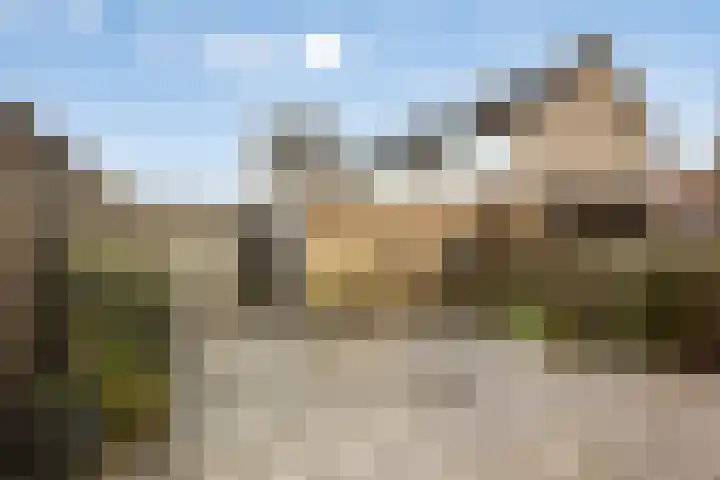 De Savornin Lohmanlaan 6 Hillegom thumbnail 4