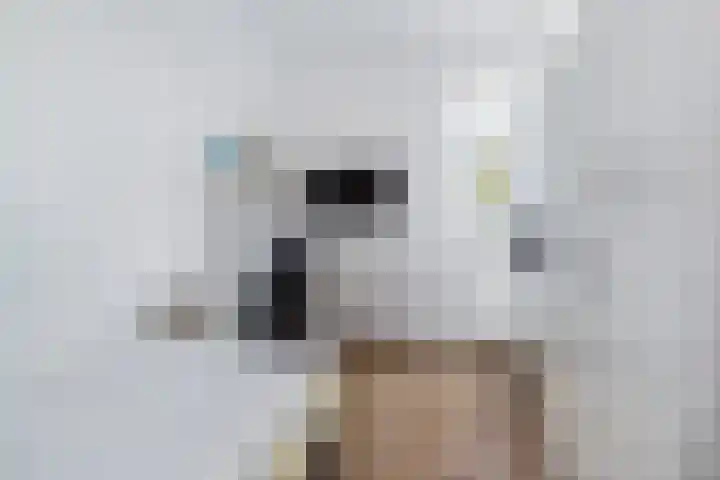 De Savornin Lohmanlaan 6 Schiedam thumbnail 32