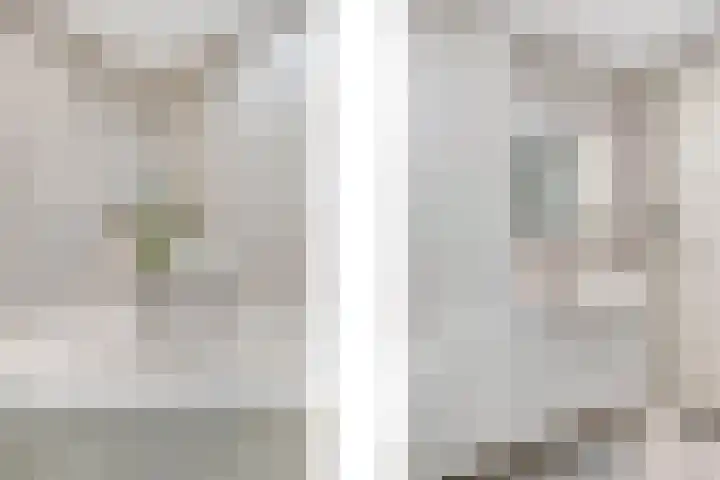 De Savornin Lohmanlaan 6 Schiedam thumbnail 37