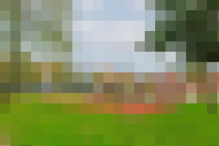 De Savornin Lohmanlaan 6 Schiedam thumbnail 42