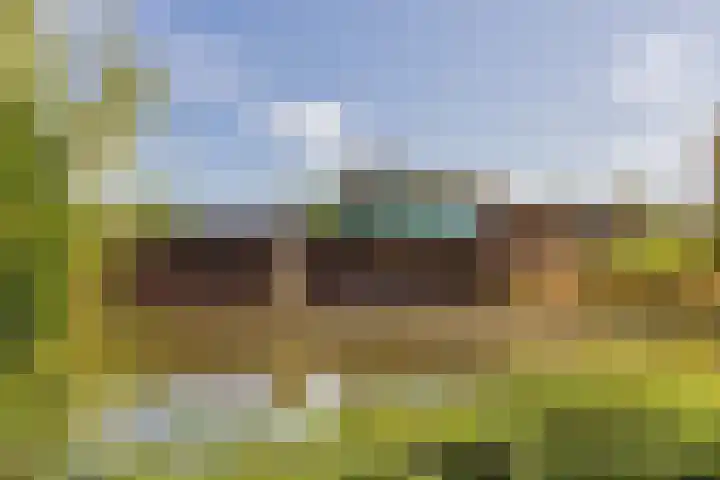 De Savornin Lohmanlaan 6 Schiedam thumbnail 44