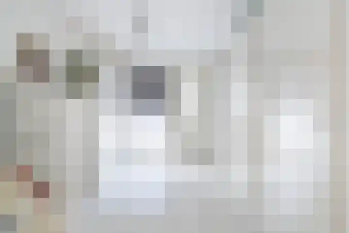 De Savornin Lohmanlaan 6 Schiedam thumbnail 6