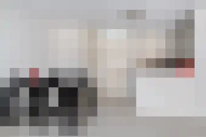 De Savornin Lohmanlaan 6 Schiedam thumbnail 9