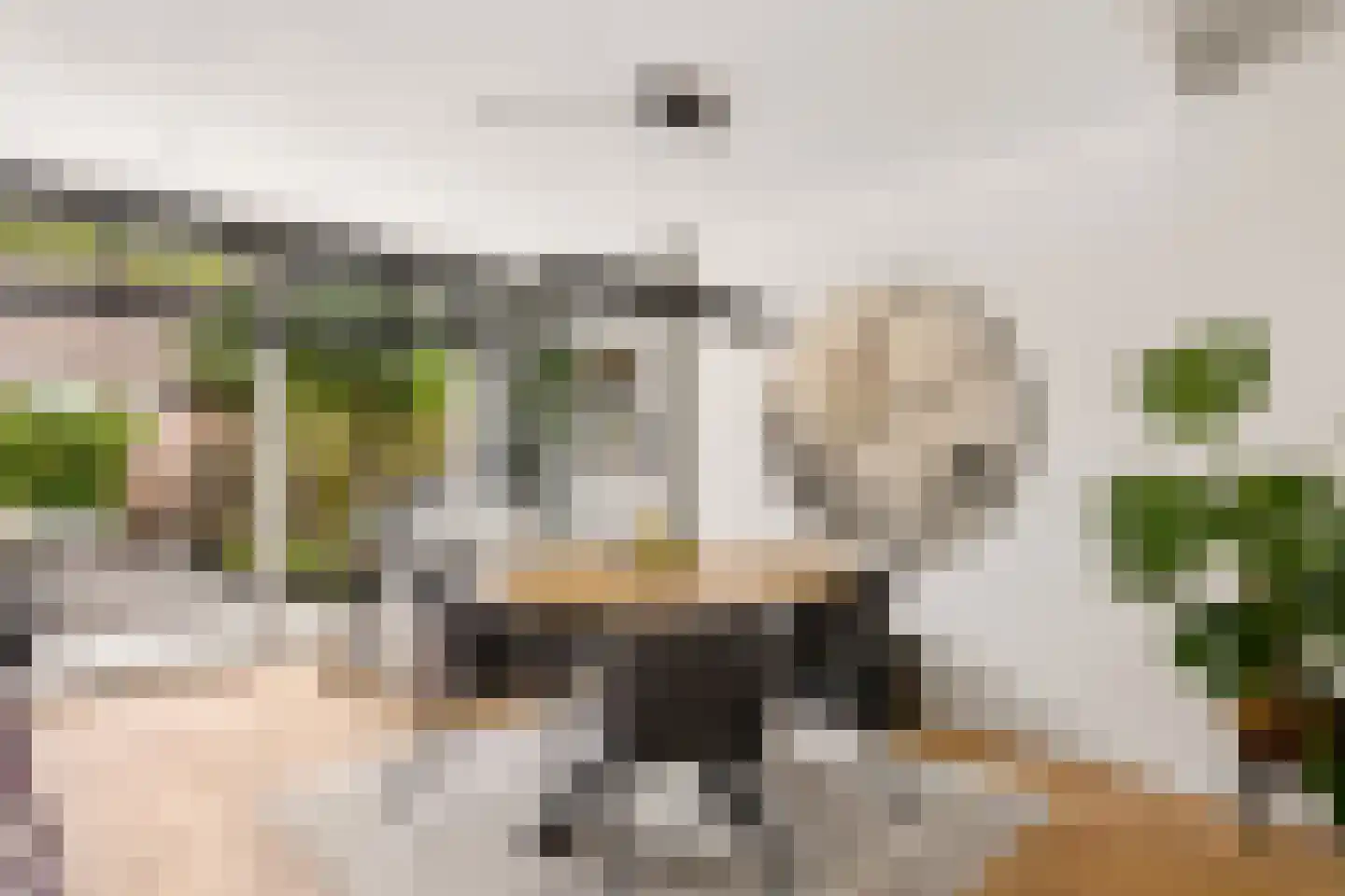 De Savornin Lohmanlaan 60 Zwolle thumbnail 10