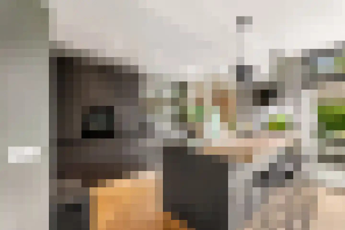 De Savornin Lohmanlaan 60 Zwolle thumbnail 12