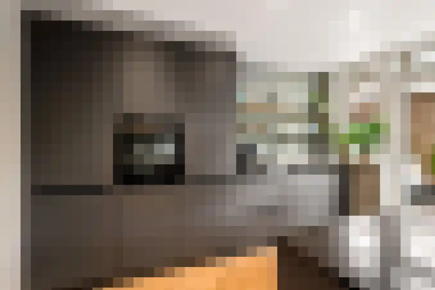 De Savornin Lohmanlaan 60 Zwolle thumbnail 13