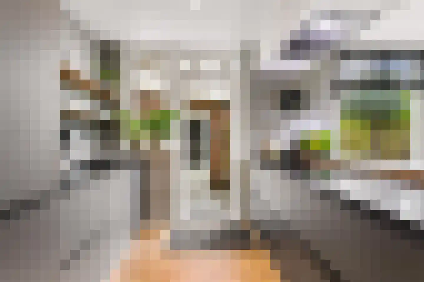 De Savornin Lohmanlaan 60 Zwolle thumbnail 14