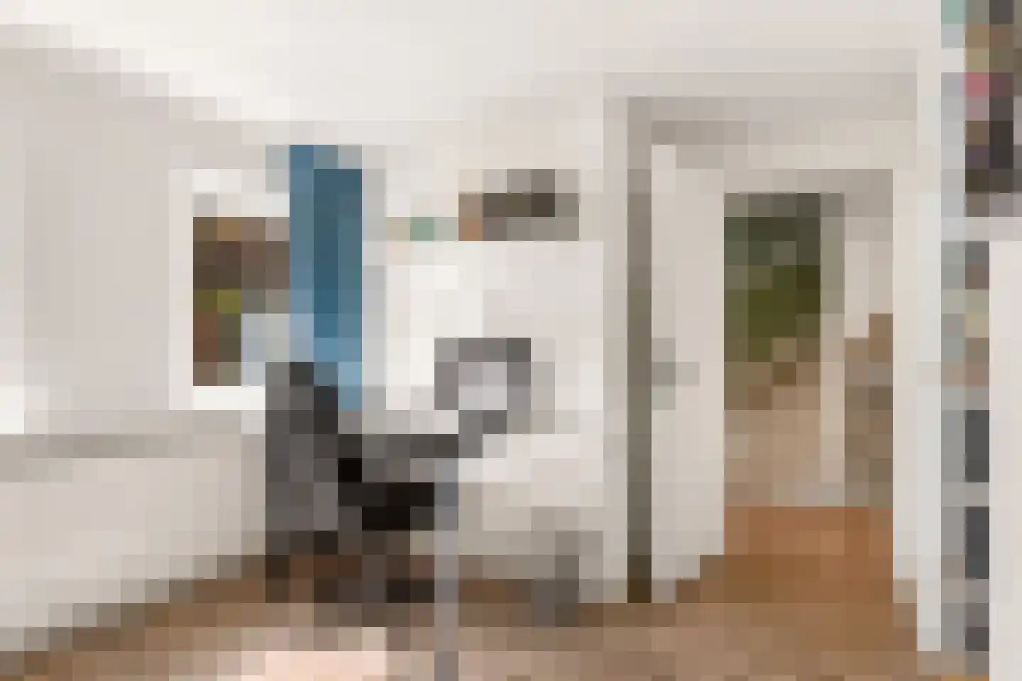 De Savornin Lohmanlaan 60 Zwolle thumbnail 25