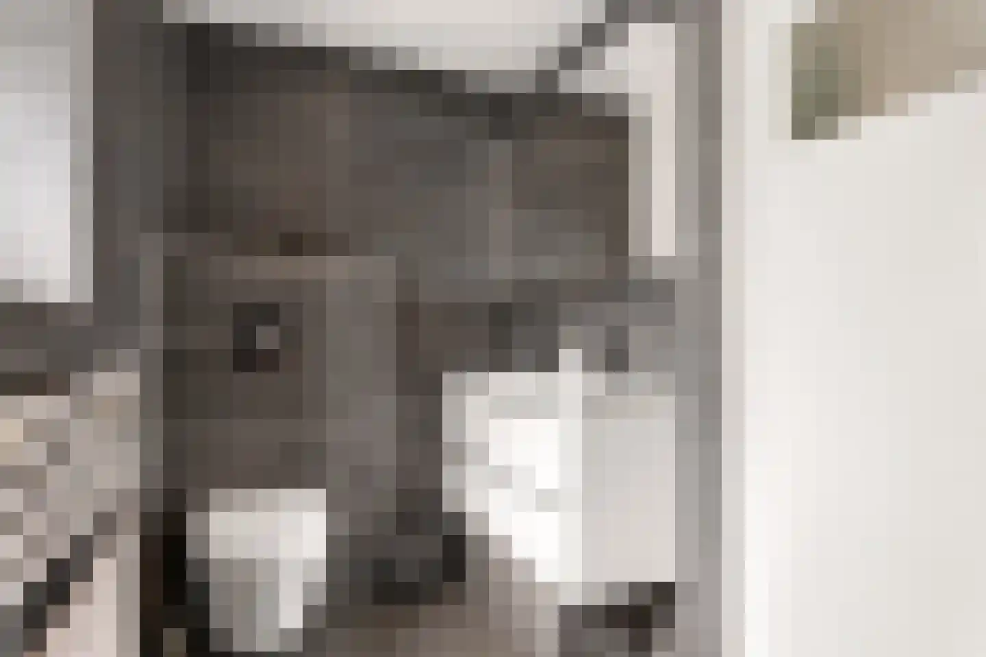 De Savornin Lohmanlaan 60 Zwolle thumbnail 30