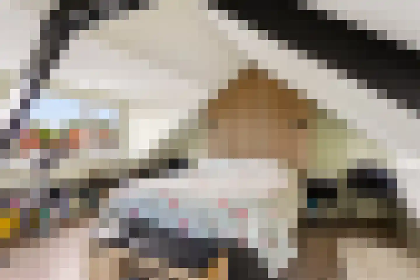 De Savornin Lohmanlaan 60 Zwolle thumbnail 33