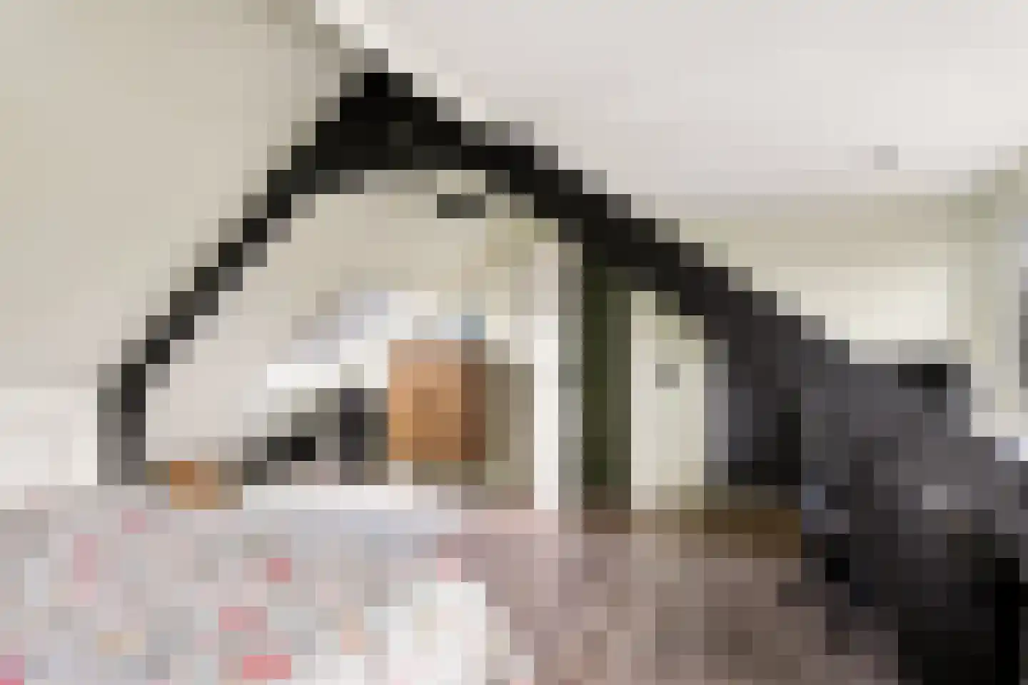 De Savornin Lohmanlaan 60 Zwolle thumbnail 35