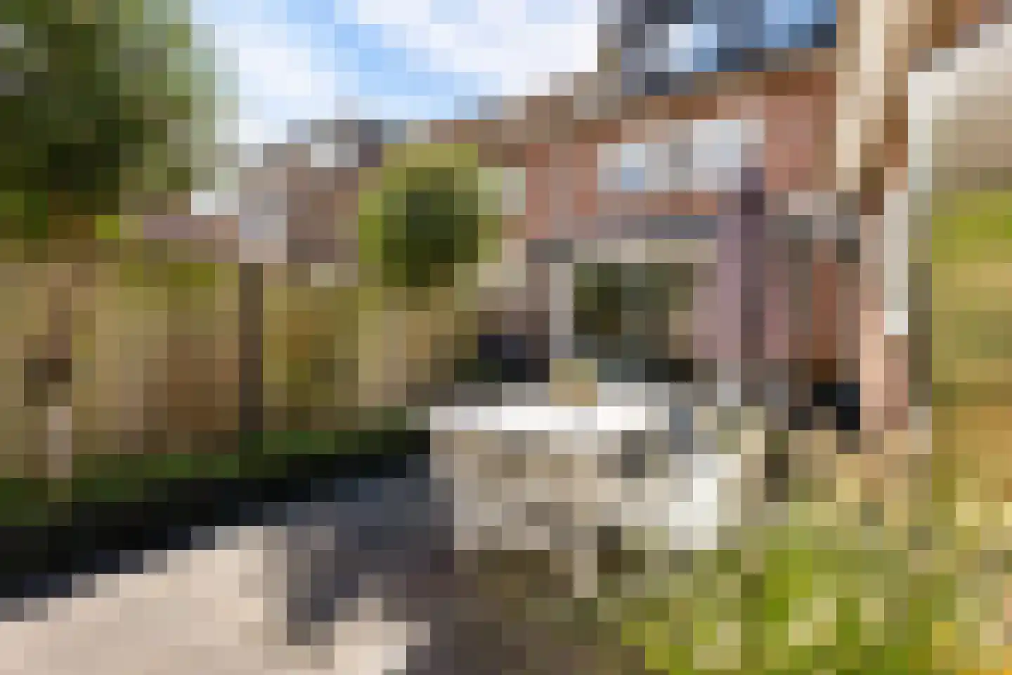 De Savornin Lohmanlaan 60 Zwolle thumbnail 38