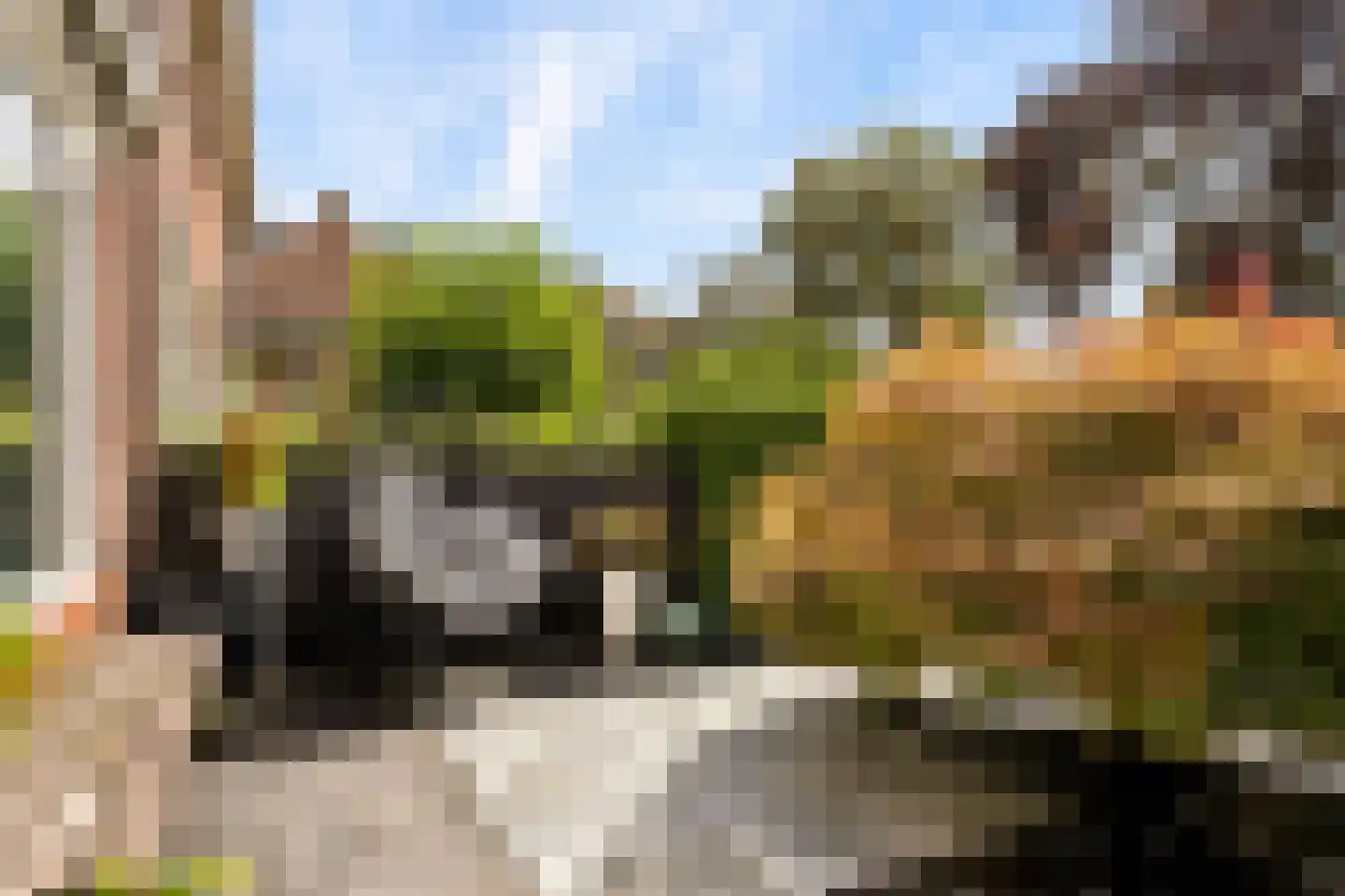 De Savornin Lohmanlaan 60 Zwolle thumbnail 48