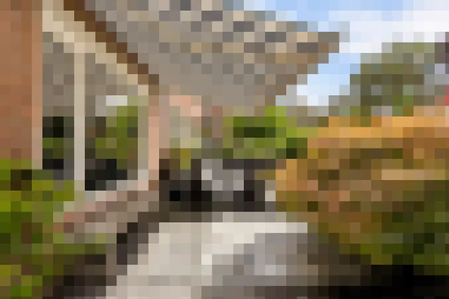 De Savornin Lohmanlaan 60 Zwolle thumbnail 49