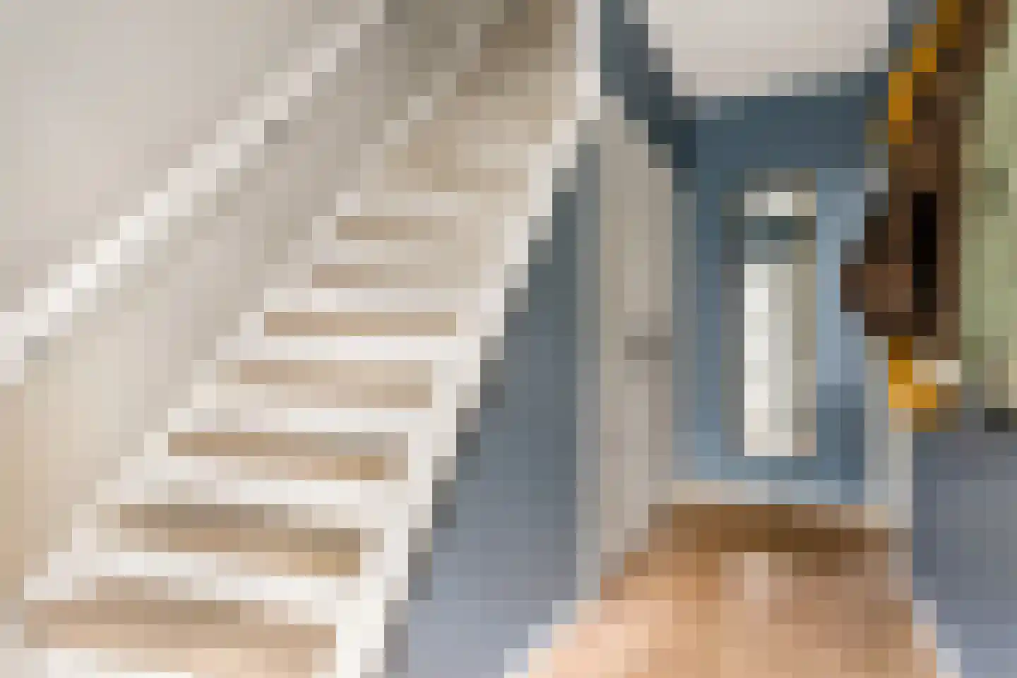De Savornin Lohmanlaan 60 Zwolle thumbnail 5