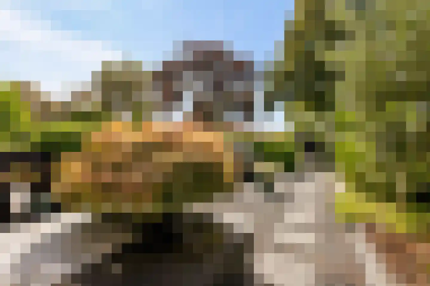 De Savornin Lohmanlaan 60 Zwolle thumbnail 50