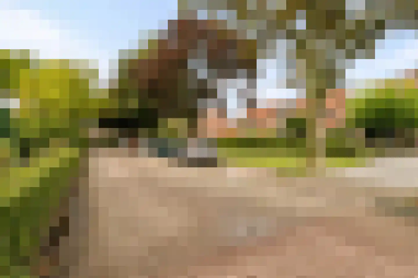 De Savornin Lohmanlaan 60 Zwolle thumbnail 52