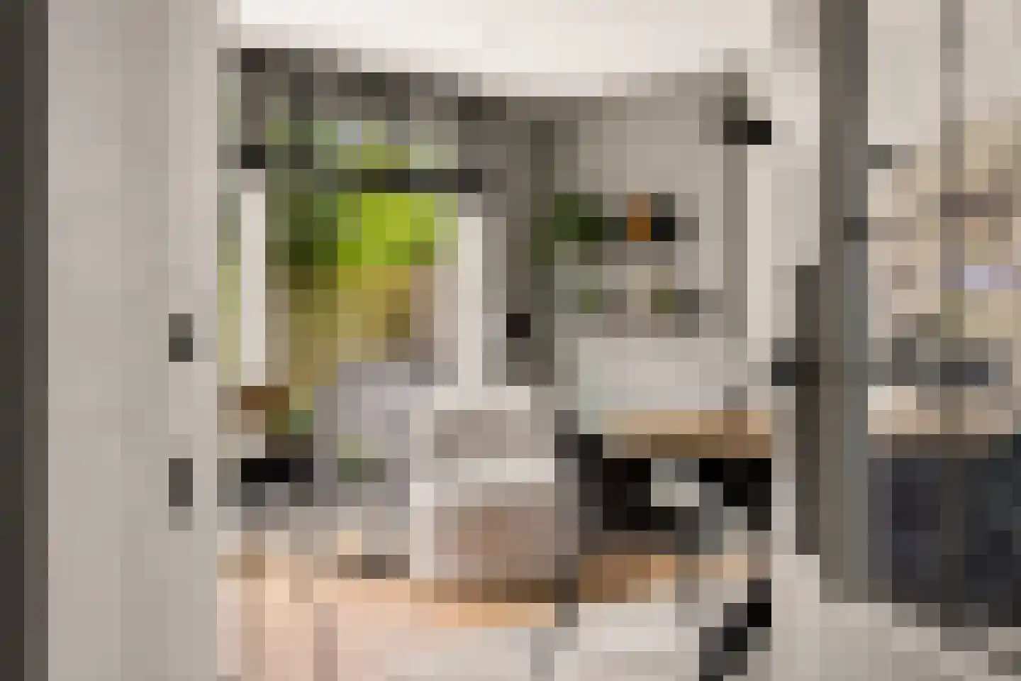 De Savornin Lohmanlaan 60 Zwolle thumbnail 6