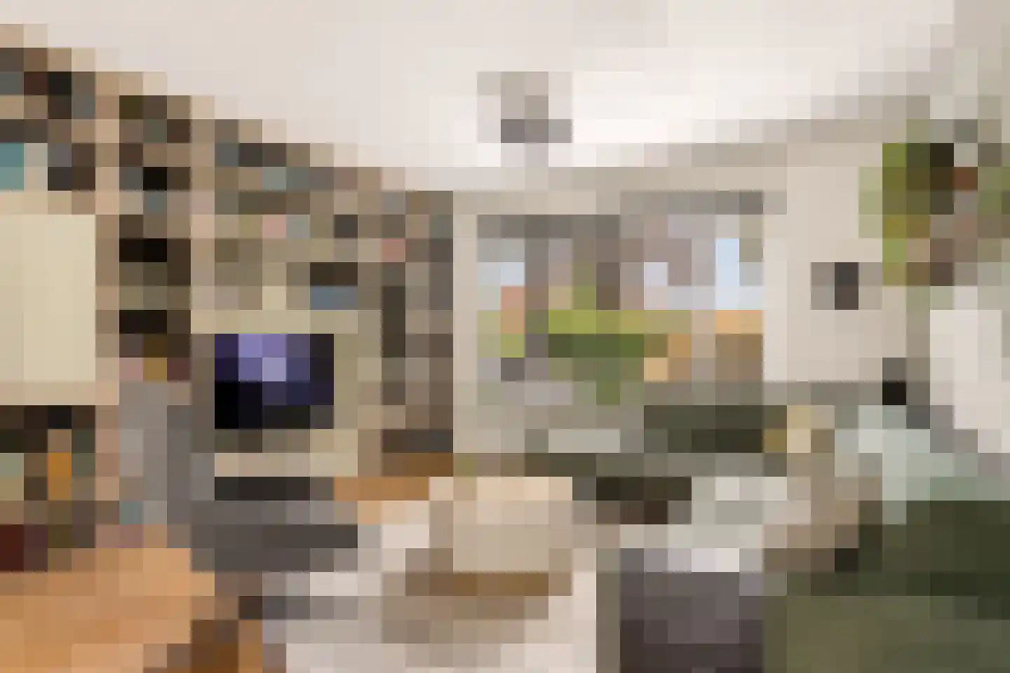 De Savornin Lohmanlaan 60 Zwolle thumbnail 7
