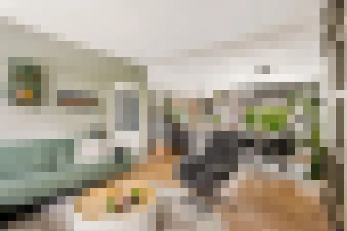 De Savornin Lohmanlaan 60 Zwolle thumbnail 8