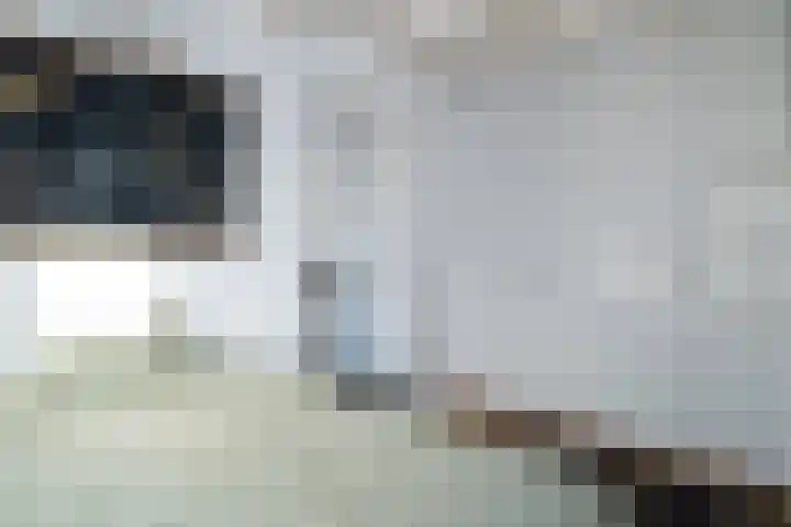 De Savornin Lohmanlaan 67 B Rotterdam thumbnail 16