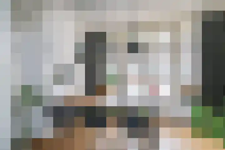 De Savornin Lohmanlaan 67 B Rotterdam thumbnail 9