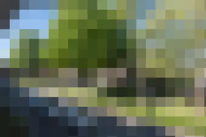 De Savornin Lohmanlaan 7 a Groningen thumbnail 28