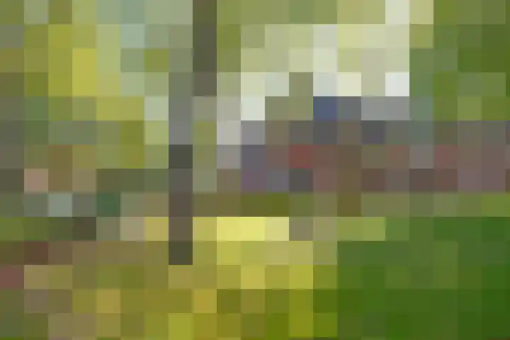 De Savornin Lohmanlaan 7 a Groningen thumbnail 49