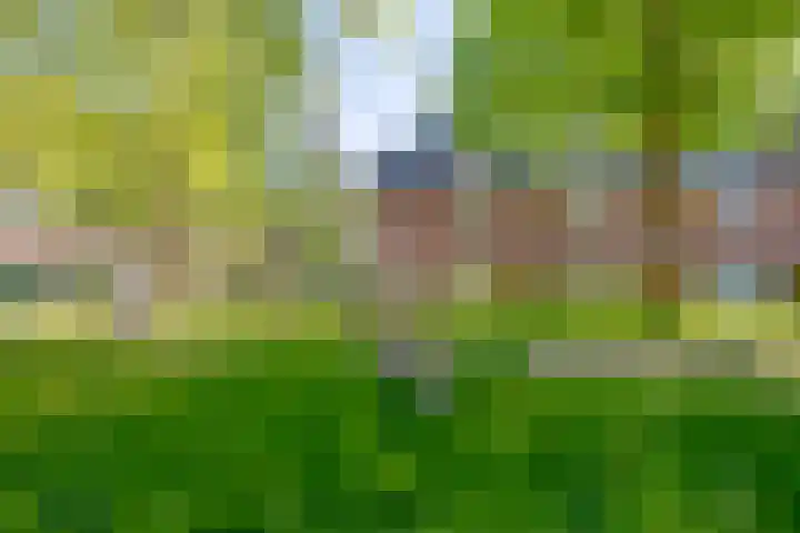 De Savornin Lohmanlaan 7 a Groningen thumbnail 50