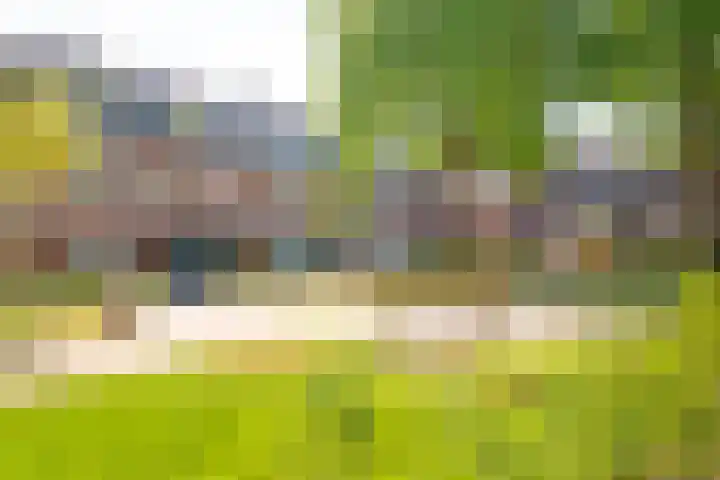De Savornin Lohmanlaan 7 a Groningen thumbnail 51