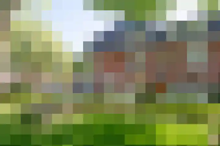 De Savornin Lohmanlaan 7 a Groningen thumbnail 52