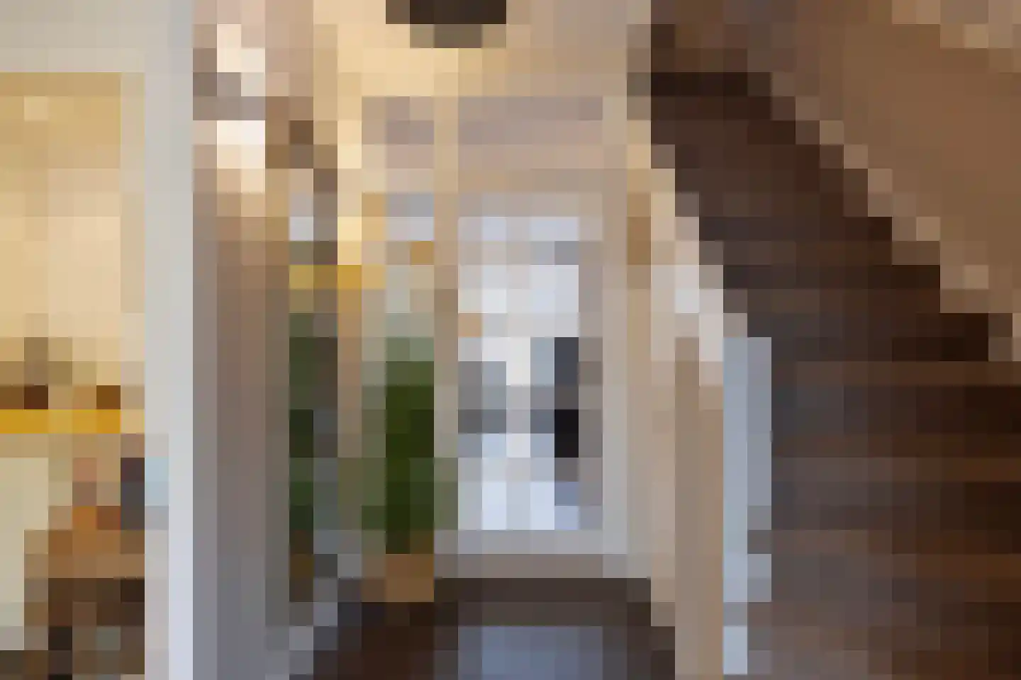 De Savornin Lohmanlaan 71 Den Haag thumbnail 11