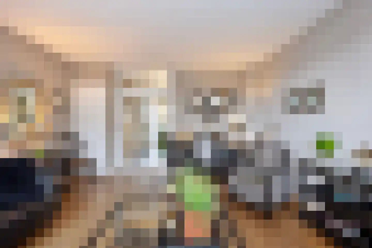 De Savornin Lohmanlaan 71 Den Haag thumbnail 13
