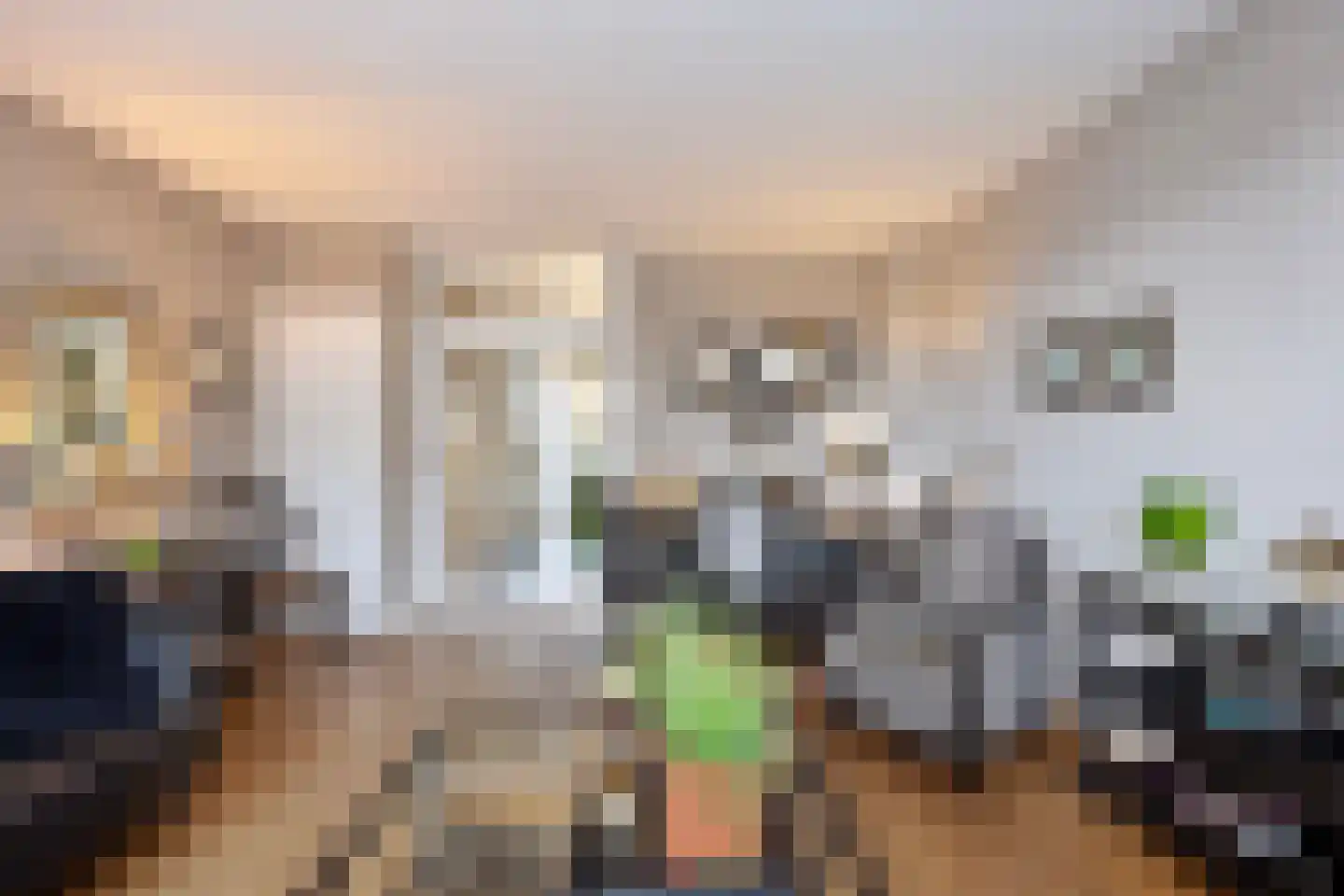 De Savornin Lohmanlaan 71 Den Haag thumbnail 13
