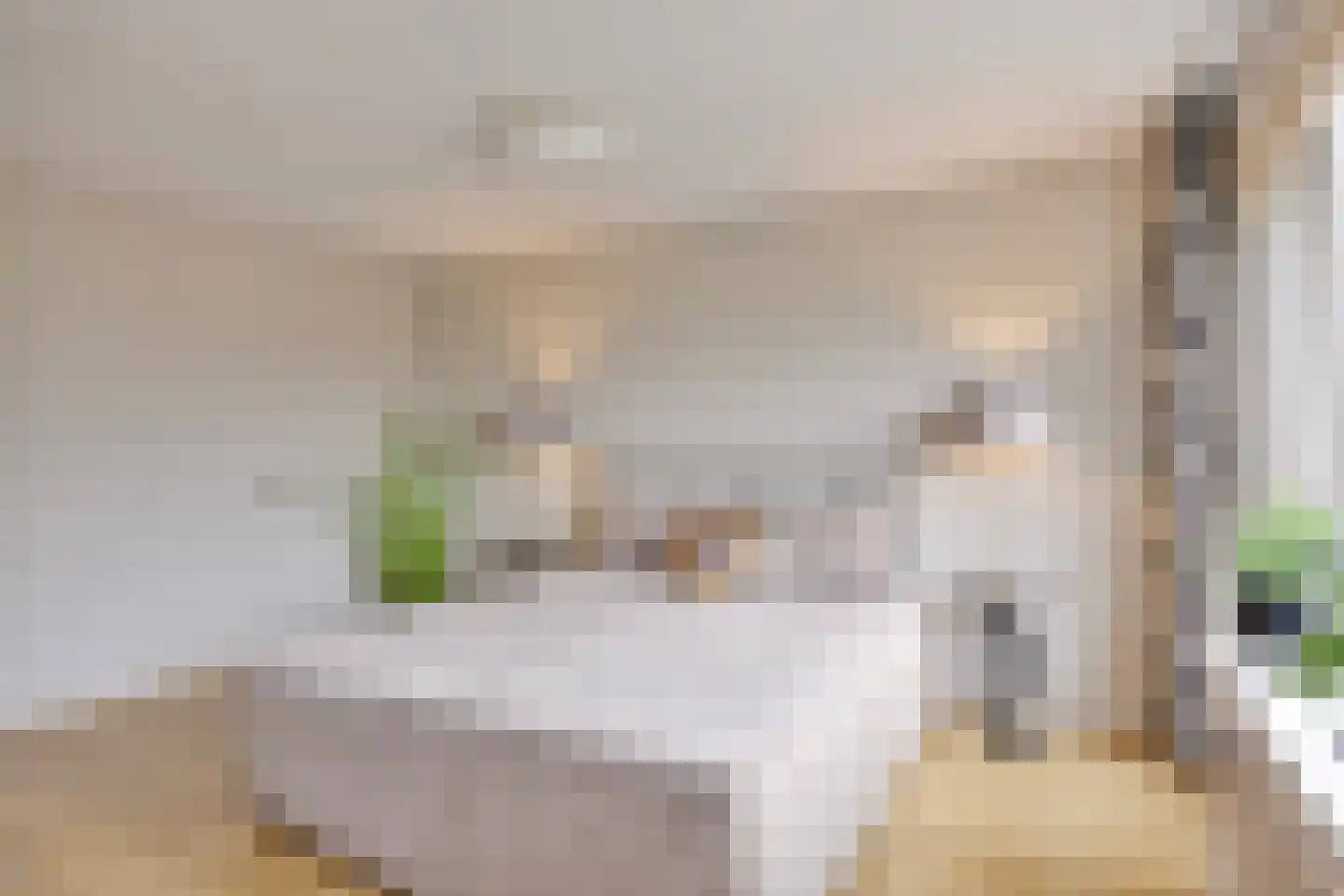 De Savornin Lohmanlaan 71 Den Haag thumbnail 24