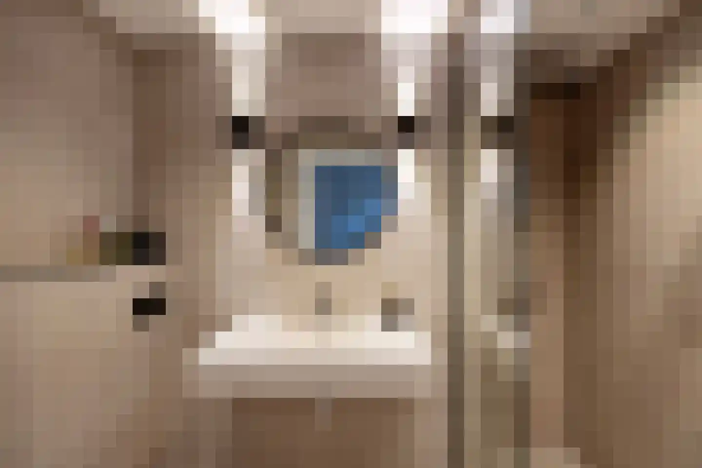 De Savornin Lohmanlaan 71 Den Haag thumbnail 6